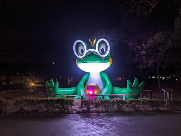 《Illuminated Frog》- Huang, Wen-Chuan